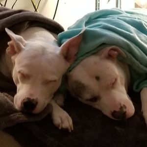 Meet your Posher, Juan